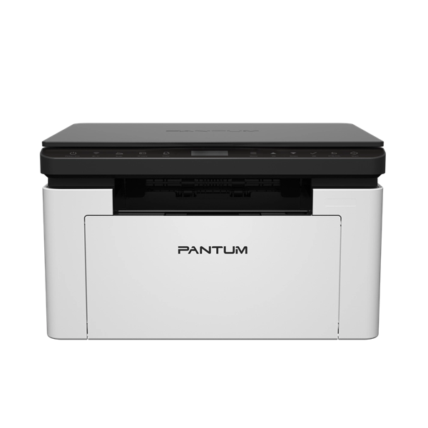 МФУ Pantum BM1800W черный/белый