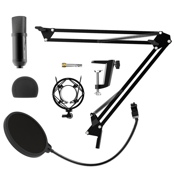 Микрофон Ritmix RDM-180