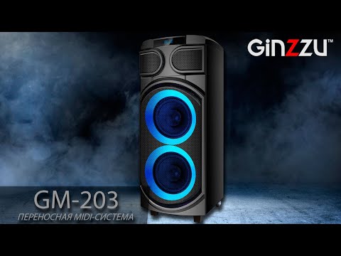 Портативная колонка Ginzzu GM-203