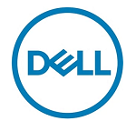Жесткий диск Dell 2.4TB 161-BCHF