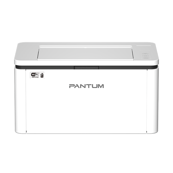 Принтер Pantum BP2300W