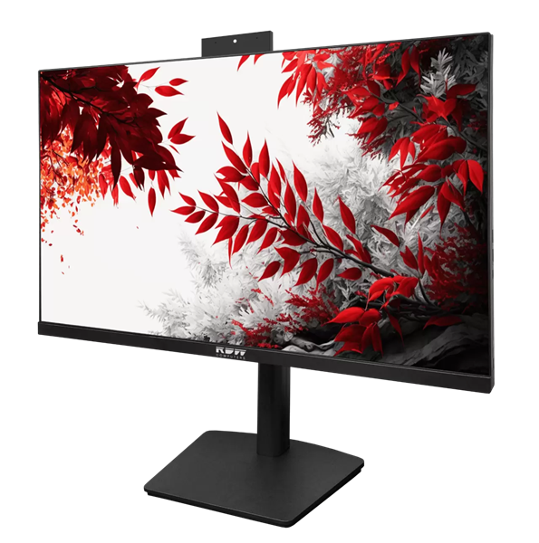 Монитор RDW Computers 2402K черный (F02В3100V2A1)