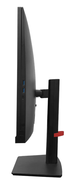 Монитор RDW Computers 2402K черный (F02В3100V2A1)