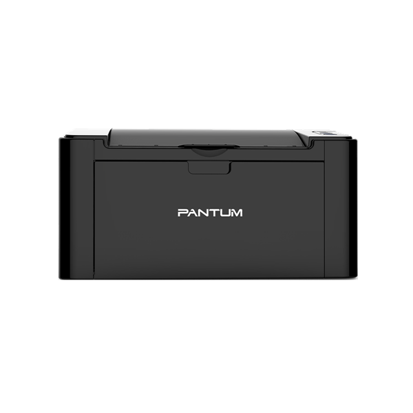 Принтер Pantum P2516 Black