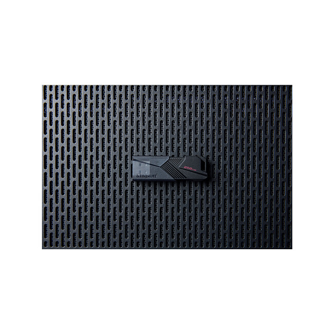 USB Flash-накопитель Kingston DataTraveler Exodia Onyx 256GB (DTXON/256GB)