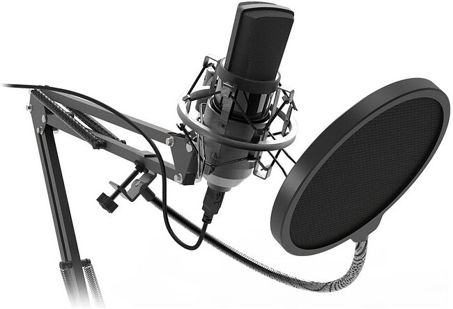 Микрофон Ritmix RDM-169