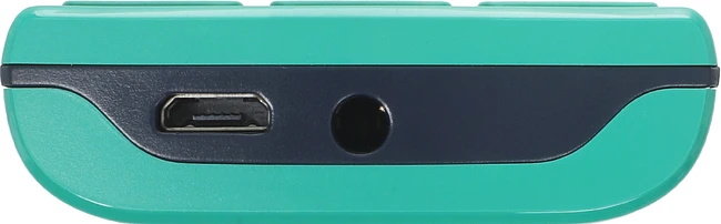 Мобильный телефон Nokia 106 DS TA-1564 зеленый (1GF019BPJ1C03)