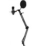 Микрофон Ritmix RDM-169