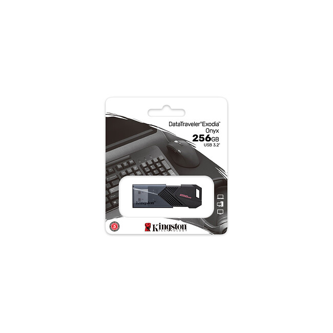 USB Flash-накопитель Kingston DataTraveler Exodia Onyx 256GB (DTXON/256GB)