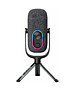 Микрофон Jlab JBuds Talk Mixed (MJBUDSTALKRBLK4)