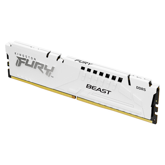 Оперативная память Kingston KF552C40BW-32