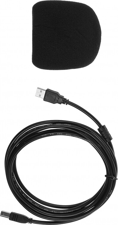 Микрофон Ritmix RDM-169