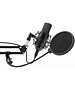 Микрофон Ritmix RDM-169