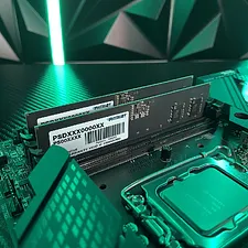 Оперативная память Patriot Signature Line DDR5 32GB (PSD532G52002)