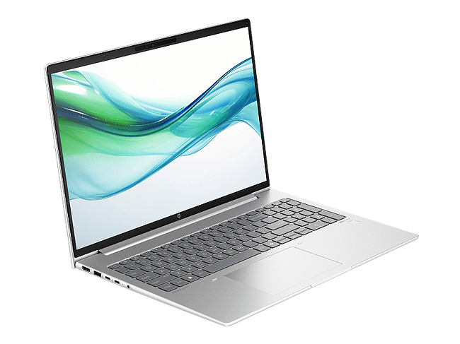 Ноутбук HP ProBook 460 G11 Silver (D2FP5ET)