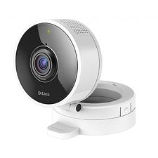 Камера видеонаблюдения D-Link DCS-8100LH