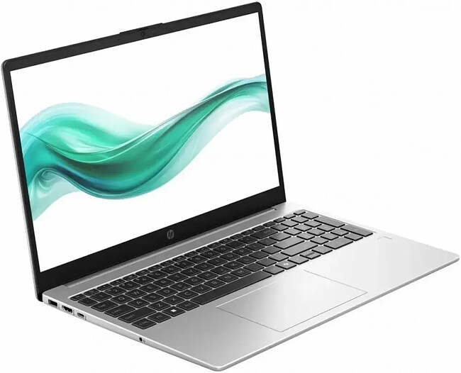 Ноутбук HP 250R G10 Silver (DN6W3ET)