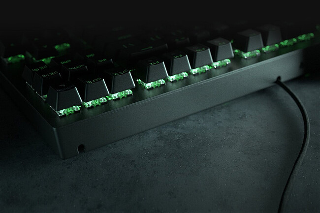 Клавиатура Razer BlackWidow V3 Tenkeyless Green Switch (RZ03-03490700-R3R1)
