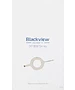 Смартфон Blackview BV4800SE 4/64GB Orange