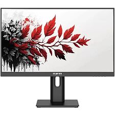 Монитор RDW Computers RDW2701K черный (Q03В3100V2A1H)