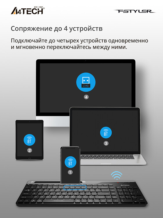 Клавиатура A4Tech Fstyler черный/серый (FBK25)