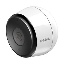 Камера видеонаблюдения D-Link DCS-8600LH/A2A