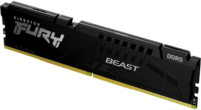 Оперативная память Kingston Fury Beast 16GB DDR5 (KF556C36BBE-16)