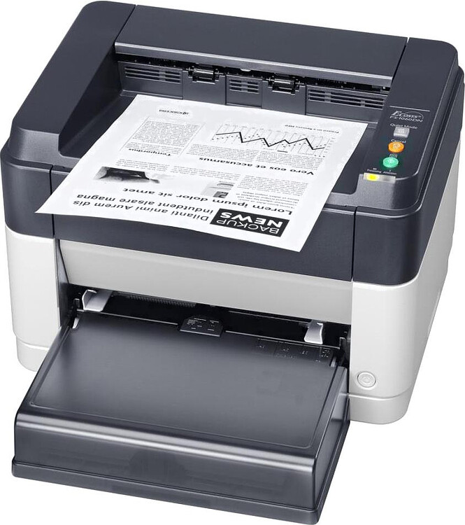 Принтер Kyocera Ecosys FS-1060DN (1102M33RU0)