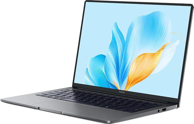 Ноутбук Honor MagicBook X14 2025 FRG-X Space Gray (5301ALWJ)