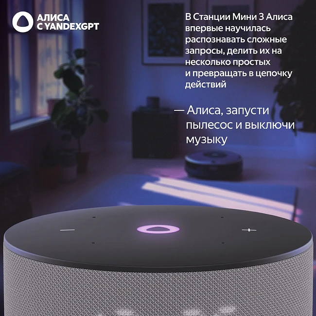 Умная колонка Яндекс Станция Мини 3 серый (YNDX-00027GRY)