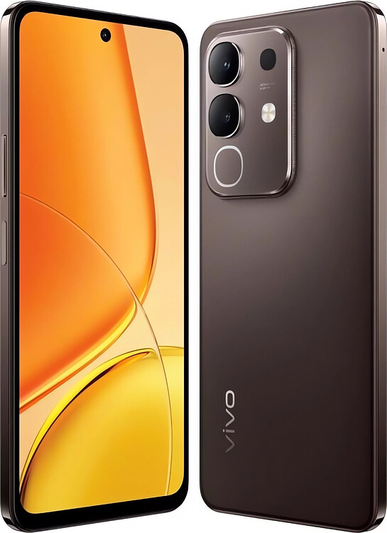 Смартфон Vivo Y29 8GB/256GB Brown (V2434)