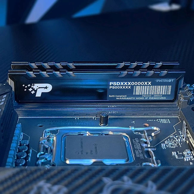 Оперативная память Patriot Signature Premium 16GB DDR5 DIMM PC5-44800 (PSP516G560081H1)