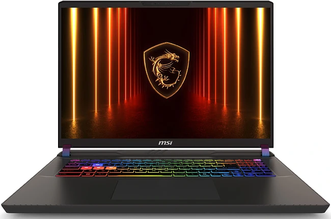 Ноутбук MSI MS-17S3 Vector 17 HX AI A2XWHG-248XBY Cosmos Gray (9S7-17S372-248)