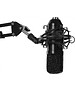Микрофон Ritmix RDM-169
