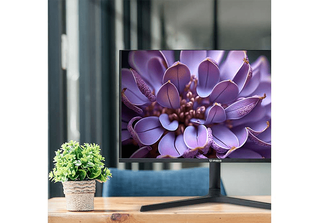 Монитор Irbis NobleView IMVW32QIDL Black