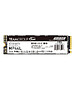 SSD диск Team Group MP44L 1TB (TM8FPK001T0C101)