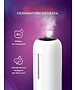 Увлажнитель воздуха Royal Clima RUH-LT300/3.5M-BU