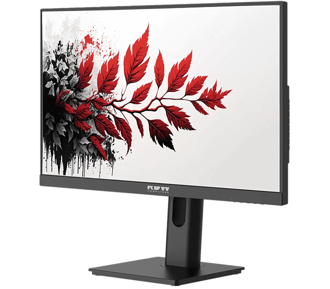 МониторRDW Computers RDW2701K (2701K/F08B3120V2A1)