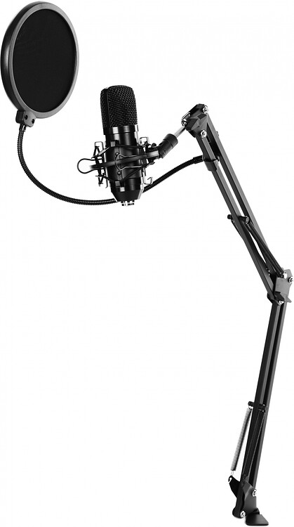 Микрофон Ritmix RDM-169