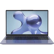 Ноутбук Digma Echo Athlon Gold Dark Grey (DN15A3-8CXW01)