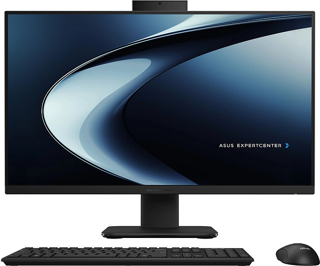 Моноблок Asus PM670KA-BPE023W черный (90PT0453-M00800)