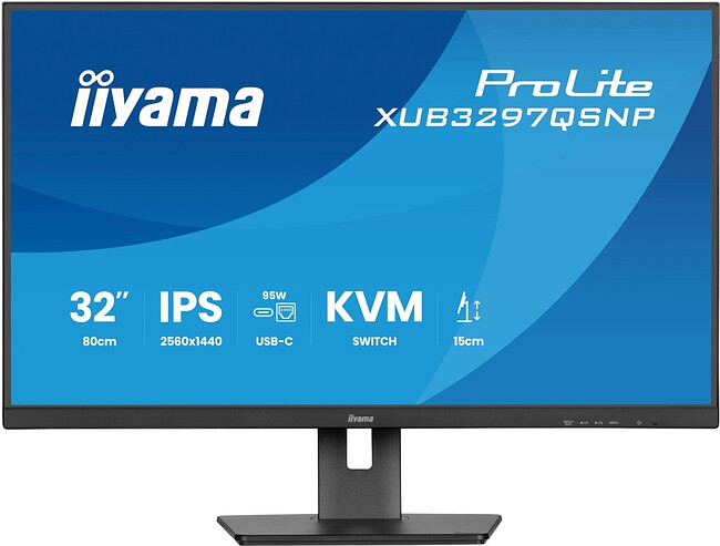 Монитор Iiyama ProLite XUB3297QSNP-B1 черный