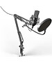 Микрофон Ritmix RDM-169