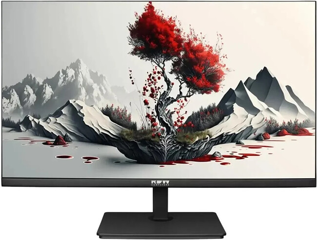 Монитор RDW Computers RDW2401K Black (2401K/F05B0100V2A1H)