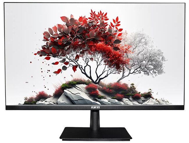 Монитор RDW Computers RDW2701K черный (Q03В3100V2A1)