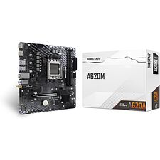 Материнская плата Biostar A620MS-E