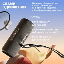 Умная колонка Яндекс Станция Стрит черный (YNDX-00030BLK)