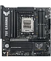 Материнская плата Asus TUF Gaming B850M-Plus II (90MB1MT0-M0EAY0)