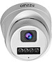 Камера видеонаблюдения Ginzzu HID-4301A
