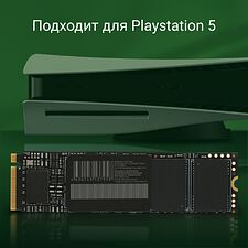 SSD диск Digma Meta M6 1TB (DGSM4001TM63T)
